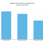 Grafik Die Profis scheinen der jüngsten Erholung nicht zu trauen