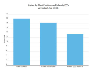 Grafik Die Profis scheinen der jüngsten Erholung nicht zu trauen