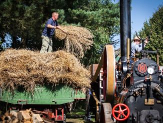 Vorführung Dampfdreschen beim Dampf- und Traktorentreffen