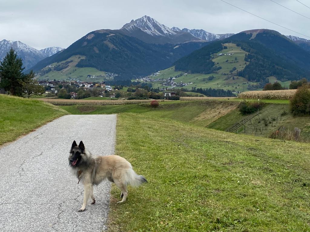 Eine Reise in die Berge ist Natur pur