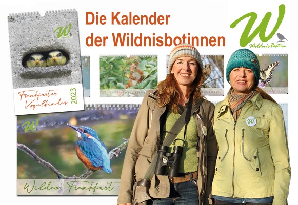 Natur Stadt | ris Rosebrock (li.) und Silke Frank (re.) vor ihren aktuellen Kalendern (© wildnisbotin e.k. Iris Rosebrock)