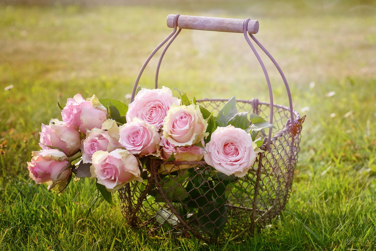 rosen Versand | Blumen sind ideal für fast alle Anlässe