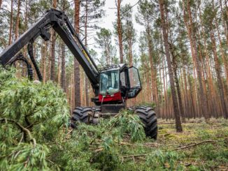 Forstmaschine im Einsatz