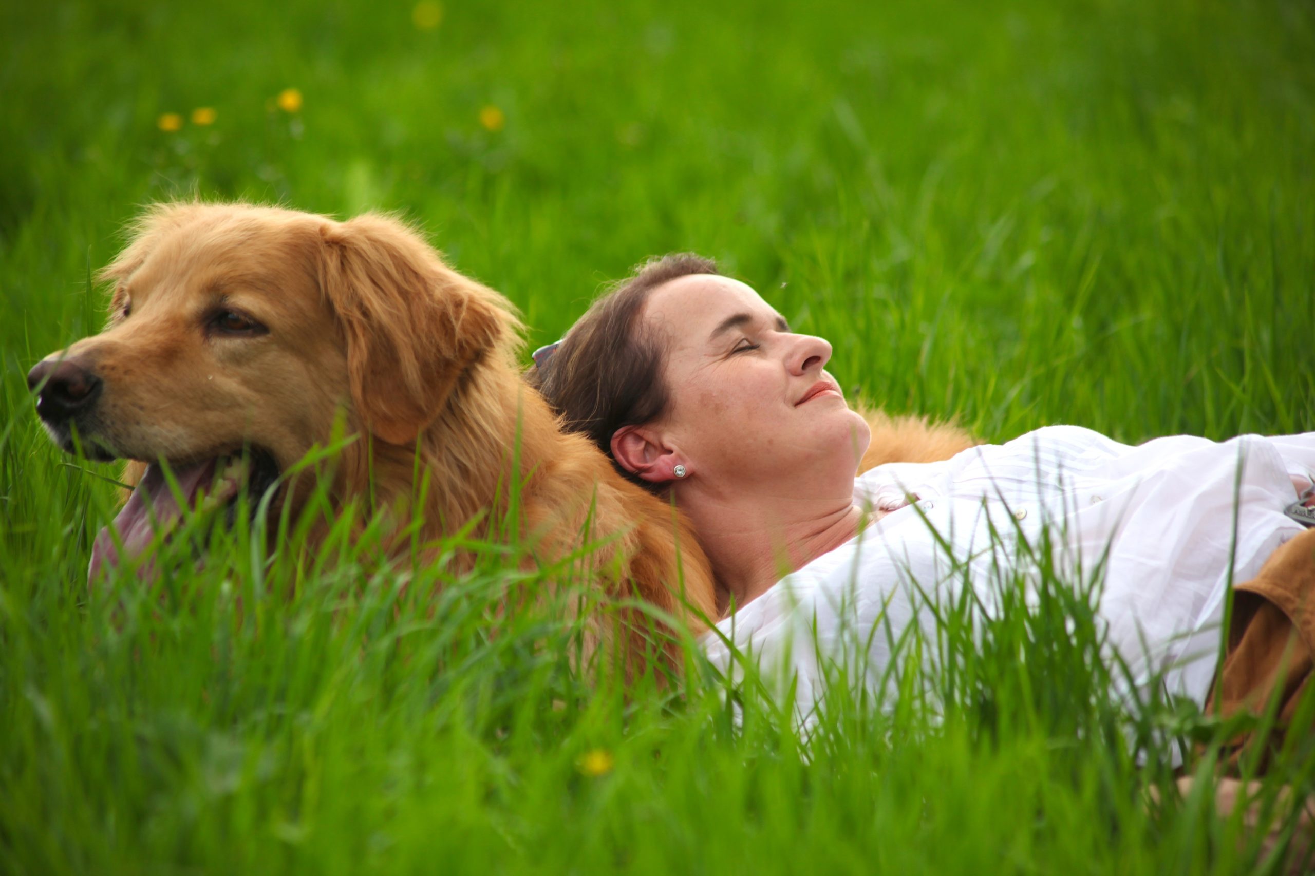 Frau mit Hund chillt im Gras