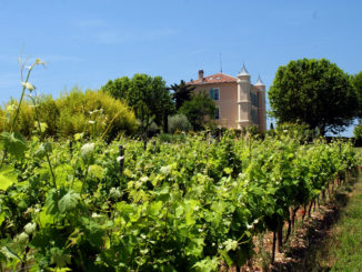 Chateau Duvivier in der Provence (Südfrankreich)