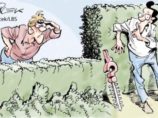 Karikatur: Nachbar hat heimlich Hecke gestutzt