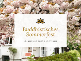 Programm zum Sommerfest