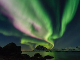 Mit Hamburg als Starthafen können Reisende Highlights wie die Fjorde, das Nordlicht und unberührte Wildnis erleben.