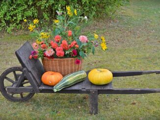 Schubkarre im Herbst