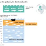Fortlaufende Überfischung gefährdet Meere, Menschen und Wirtschaft