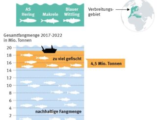 Fortlaufende Überfischung gefährdet Meere, Menschen und Wirtschaft