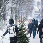 Weihnachtsbaum nach Hause tragen im Schnee