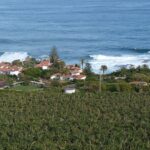Teneriffa Nord Bananenplantagen