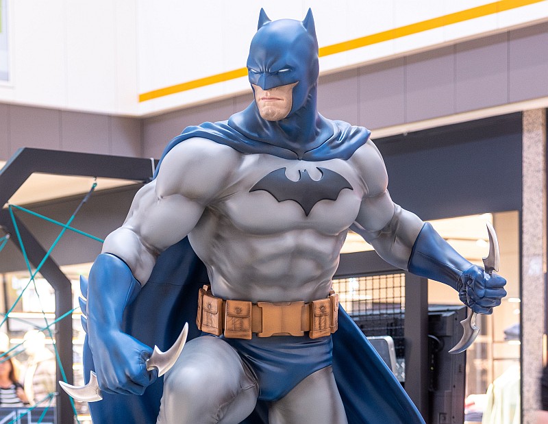 Batman - Heroes in Training 800 | Batman - Heroes in Training