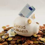 Luxussparschwein mit Euros