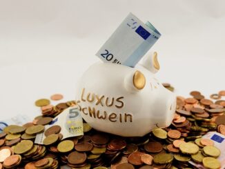 Luxussparschwein mit Euros