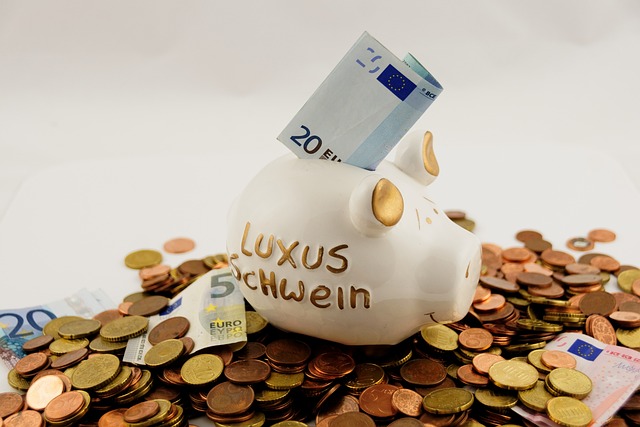 Luxussparschwein mit Euros | Luxussparschwein mit Euros