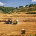 Struhernte auf dem Feld mit Traktor