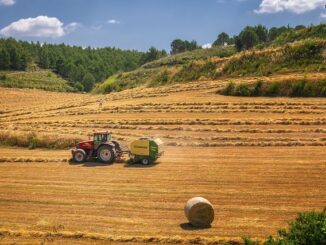 Struhernte auf dem Feld mit Traktor