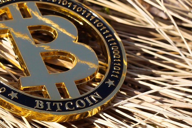Bitcoin-Münze im Stroh