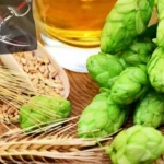 Hofen, Gerste, Bier