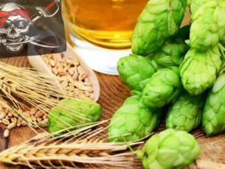 Hofen, Gerste, Bier