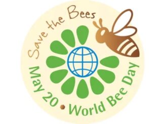 20. Mai World Bee Day