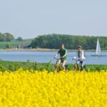 Radtour durch den Raps