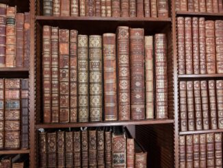 Auf der BiblioCon werden unter dem Motto Motto offen.lokal.global. Themen wie KI, Fachkräftemangel, Datenhoheit, Demokratieförderung oder OpenAccess für Bibliotheken diskutiert.