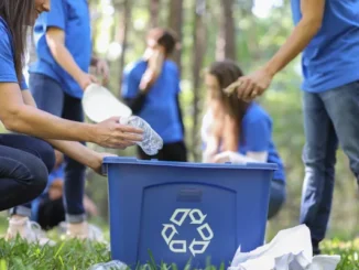 Menschen sammeln Plastikmüll in eine blaue Kiste