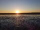 Nordsee in der Abendsonne romantisch