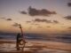 Fitness Sport Surfboard