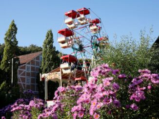 Riesenrad beim Historischen Jahrmarkt 3-61024 im Freilichtmuseum
