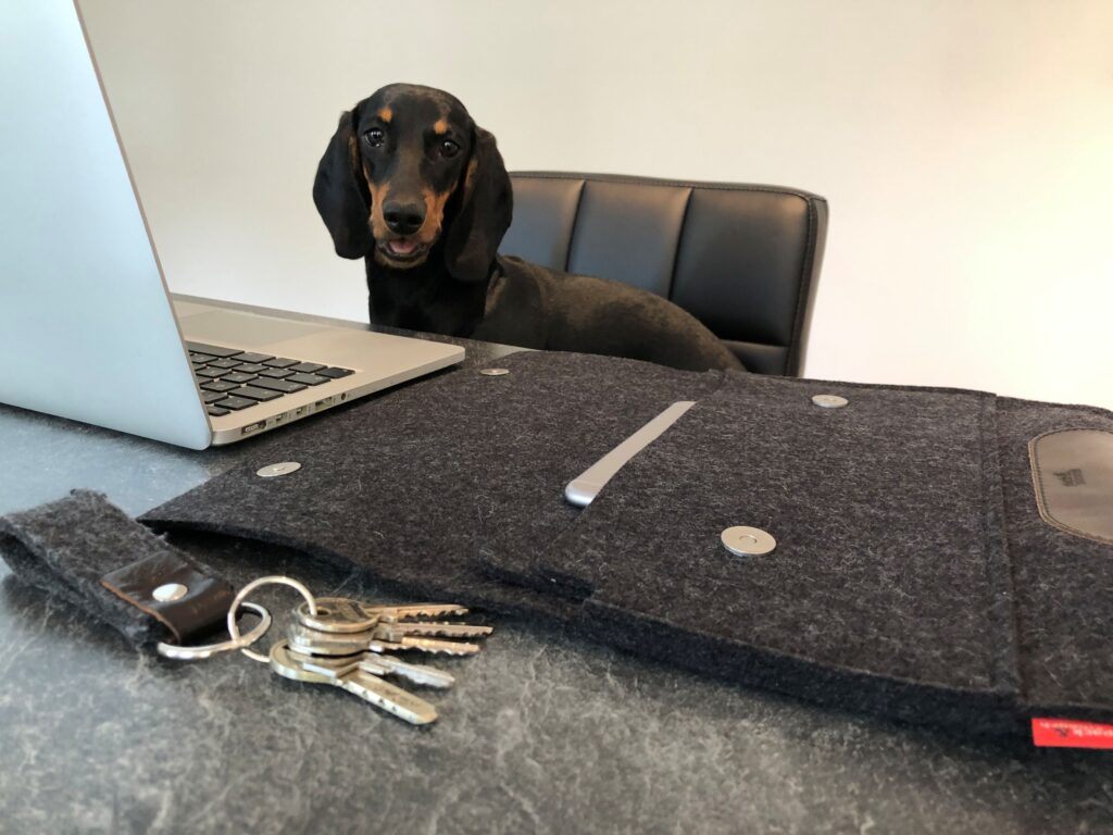 Bessy the Teckel © sierkscom_03