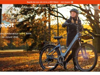 Screenshot Website Mokwheel E-Bikes