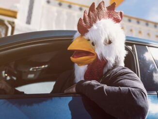 Mit Huhnkostüm im Auto