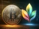 Vergleichsberich Bitcoin vs Solana