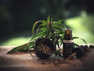 CBD Öl Medizinischer Hanf Cannabiol THC