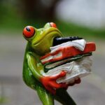 Frosch schleppt Aktenberg