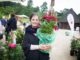 Junge Frau mit Rosen im Topf auf em Rosenmarkt