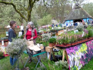 Rund 100 Stände beim Pflanzenmarkt im Frühjahr am 12 und 13 April im Freilichtmuseum am Kiekeberg