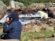 Eisbären beobachten und fotografieren