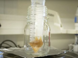 Honig im Labor zur Vorbereitung für den DNA-Test