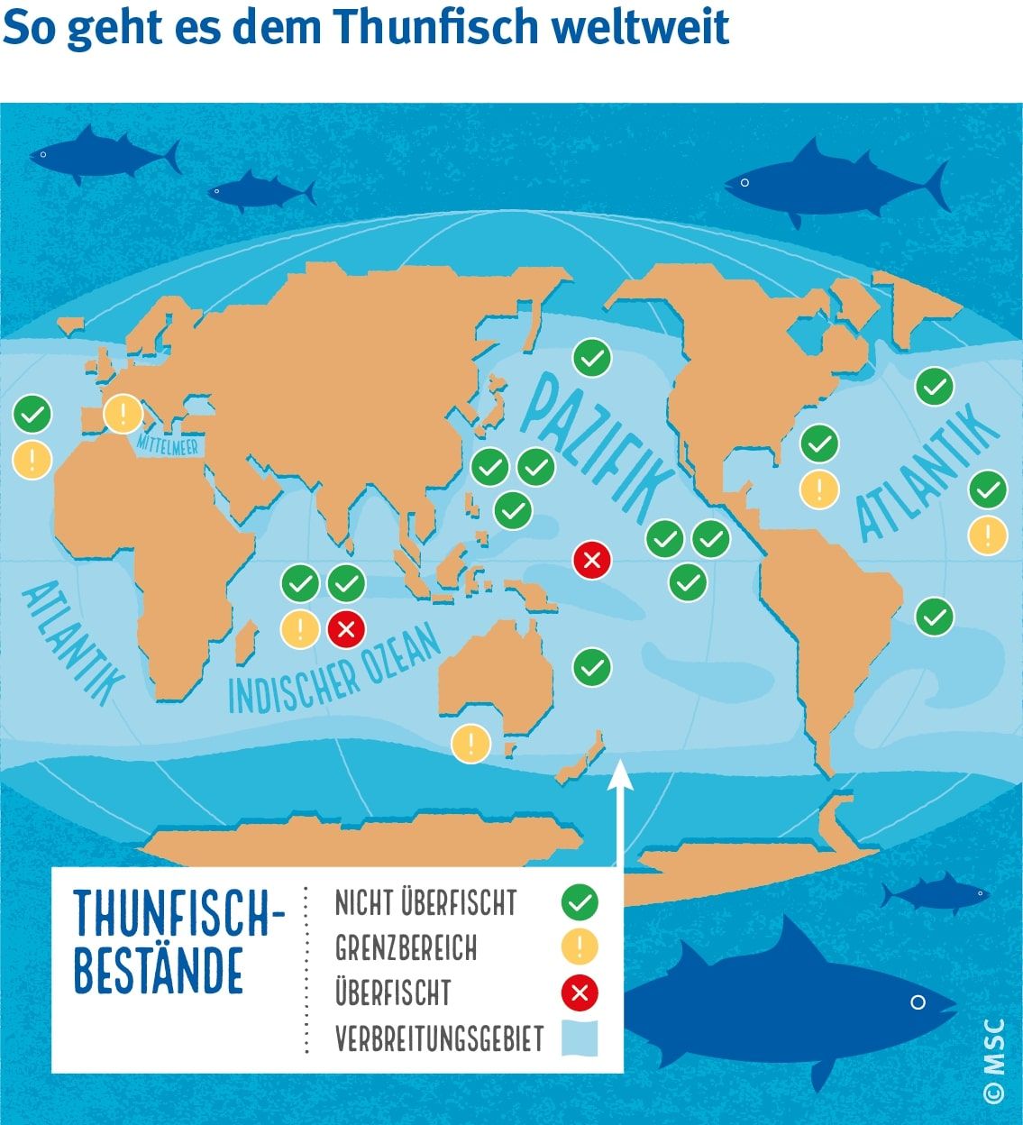 MSC_Thunfisch-Facts-2025_Bestände weltweit | Nur zwei von 23 Thunfischbeständen sind aktuell überfischt