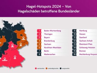 Bei den am meisten von Hagel betroffenen Bundesländern lagen wie im Vorjahr insbesondere die südlichen vorn. Die meisten Hagelschäden gab es in Baden-Württemberg.