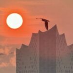 Möve vor der Elbphilharmonie Hamburg im Abendrot