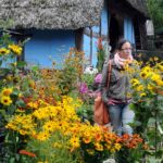 Pflanzenmarkt im Sommer im Freilichtmuseum am Kiekeberg