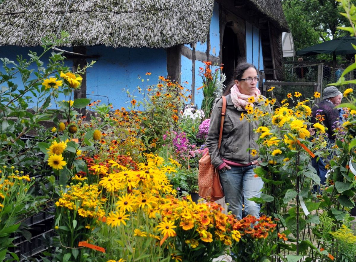 Pflanzenmarkt im Sommer im Freilichtmuseum am Kiekeberg | Pflanzenmarkt im Sommer im Freilichtmuseum am Kiekeberg