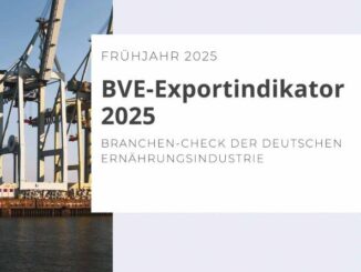 Titel BVE-AFC-Exportindikator 2025