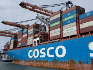 seecontainer als wohnoption container schiffscontainer